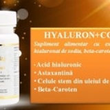 Hyaluron Complex